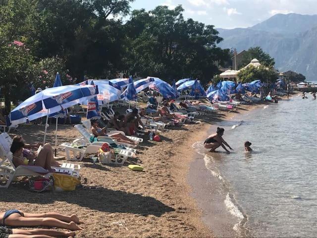 Villa Nikola كوتور المظهر الخارجي الصورة