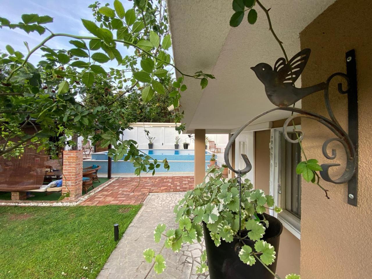 Villa Nikola كوتور المظهر الخارجي الصورة