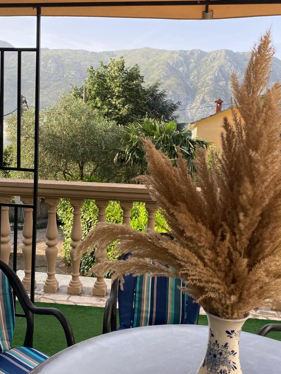 Villa Nikola كوتور المظهر الخارجي الصورة